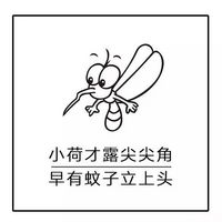 www.yz0s43.com