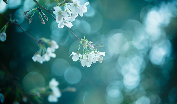 請(qǐng)為自己放個(gè)假 在你勞累時(shí)