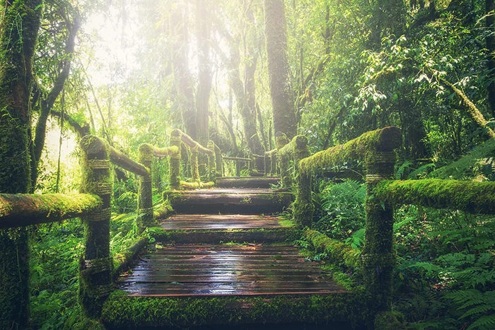 優(yōu)美散文:秋天的早晨 趁著秋天的早晨在眼前
